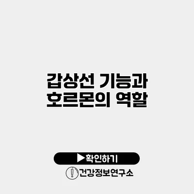 갑상선 기능과 호르몬의 역할