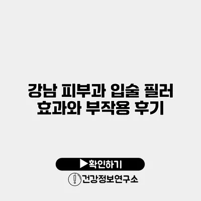 강남 피부과 입술 필러 효과와 부작용 후기
