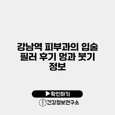 강남역 피부과의 입술 필러 후기 멍과 붓기 정보