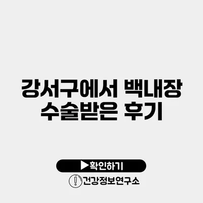 강서구에서 백내장 수술받은 후기