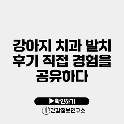 강아지 치과 발치 후기 직접 경험을 공유하다