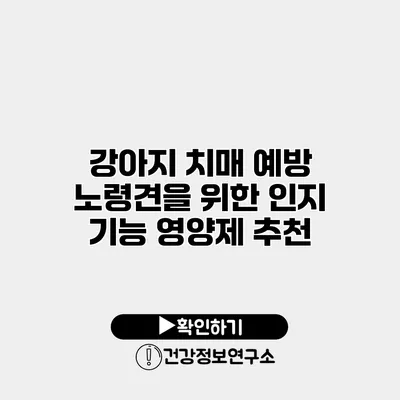 강아지 치매 예방 노령견을 위한 인지 기능 영양제 추천