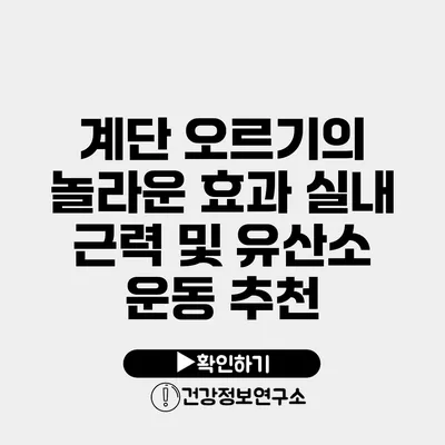 계단 오르기의 놀라운 효과 실내 근력 및 유산소 운동 추천