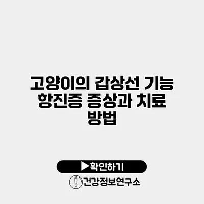 고양이의 갑상선 기능 항진증 증상과 치료 방법