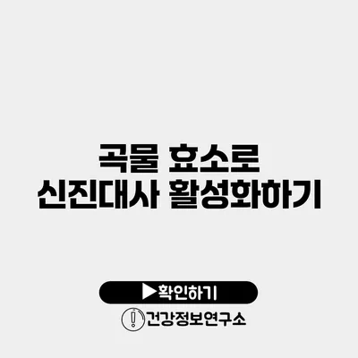 곡물 효소로 신진대사 활성화하기