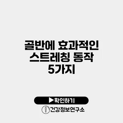 골반에 효과적인 스트레칭 동작 5가지