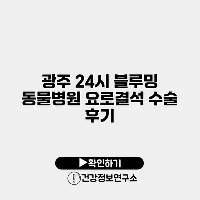 광주 24시 블루밍 동물병원 요로결석 수술 후기