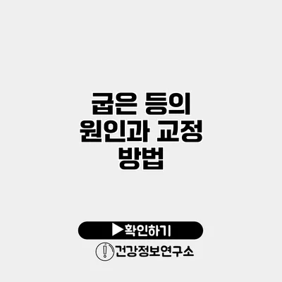 굽은 등의 원인과 교정 방법