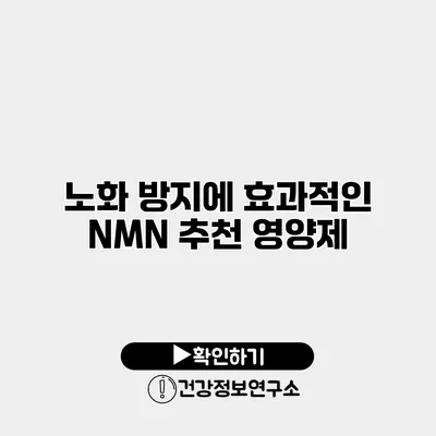노화 방지에 효과적인 NMN 추천 영양제
