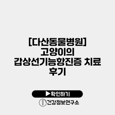 [다산동물병원] 고양이의 갑상선기능항진증 치료 후기