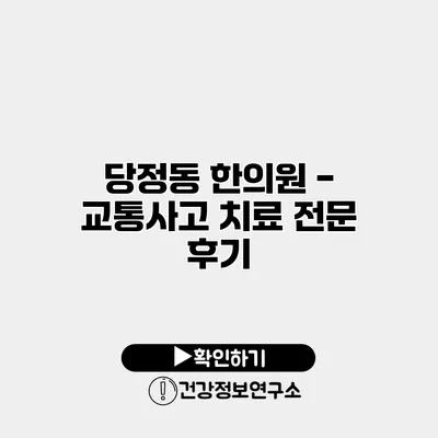당정동 한의원 - 교통사고 치료 전문 후기