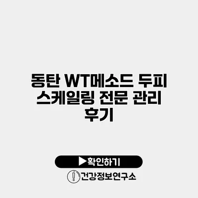 동탄 WT메소드 두피 스케일링 전문 관리 후기