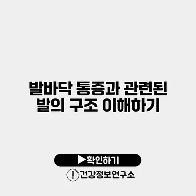 발바닥 통증과 관련된 발의 구조 이해하기