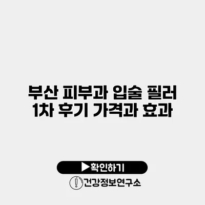부산 피부과 입술 필러 1차 후기 가격과 효과