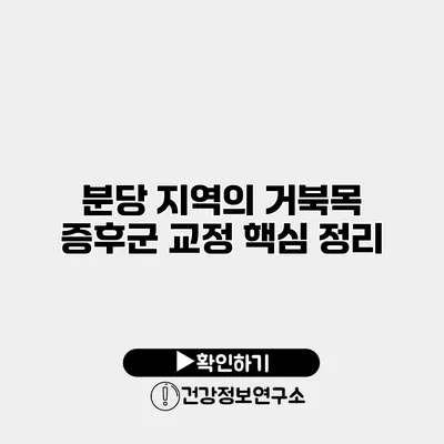 분당 지역의 거북목 증후군 교정 핵심 정리