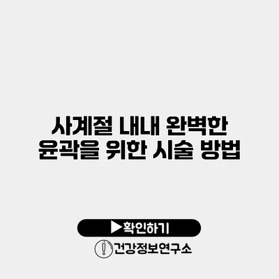 사계절 내내 완벽한 윤곽을 위한 시술 방법