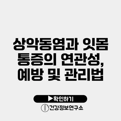 상악동염과 잇몸 통증의 연관성, 예방 및 관리법