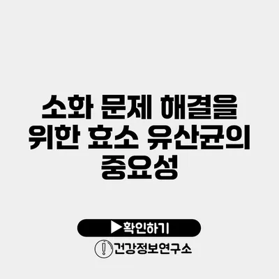 소화 문제 해결을 위한 효소 유산균의 중요성