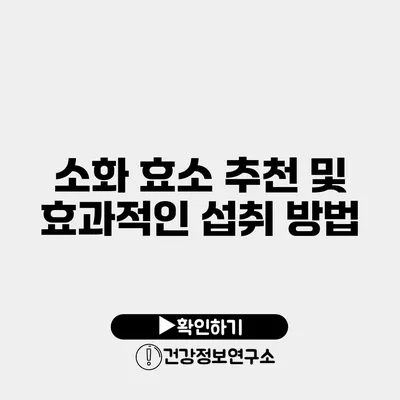 소화 효소 추천 및 효과적인 섭취 방법
