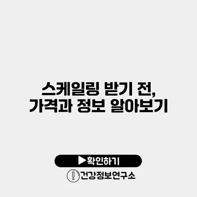 스케일링 받기 전, 가격과 정보 알아보기