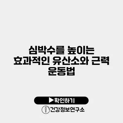 심박수를 높이는 효과적인 유산소와 근력 운동법