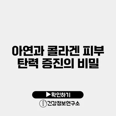 아연과 콜라겐 피부 탄력 증진의 비밀