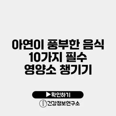 아연이 풍부한 음식 10가지 필수 영양소 챙기기