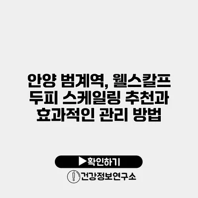 안양 범계역, 웰스칼프 두피 스케일링 추천과 효과적인 관리 방법