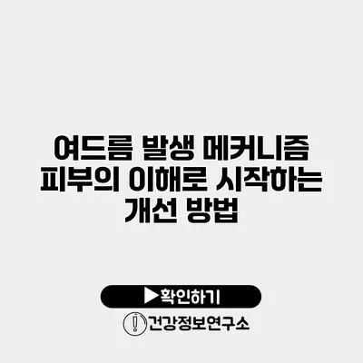 여드름 발생 메커니즘 피부의 이해로 시작하는 개선 방법