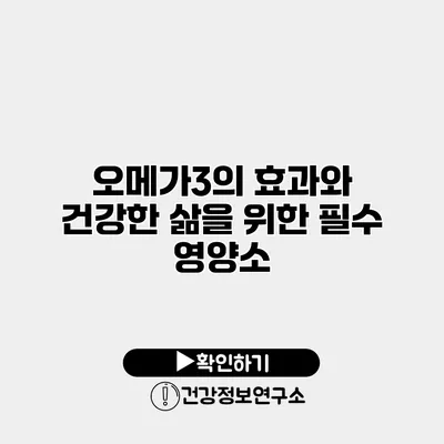 오메가3의 효과와 건강한 삶을 위한 필수 영양소