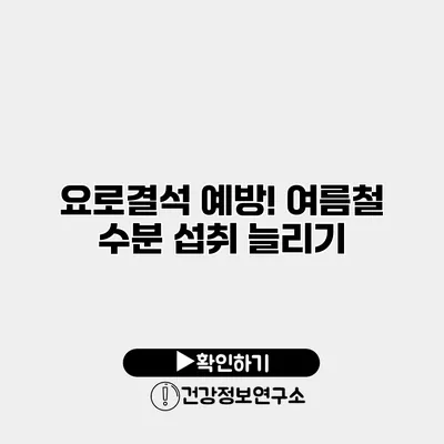 요로결석 예방! 여름철 수분 섭취 늘리기