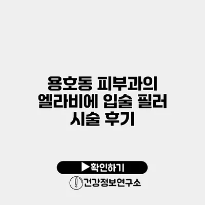 용호동 피부과의 엘라비에 입술 필러 시술 후기