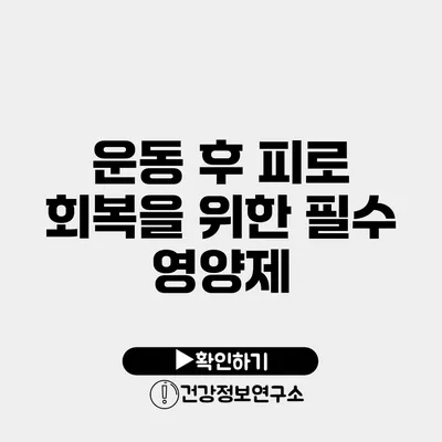 운동 후 피로 회복을 위한 필수 영양제