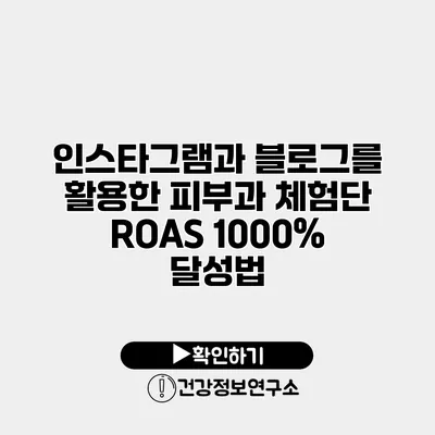 인스타그램과 블로그를 활용한 피부과 체험단 ROAS 1000% 달성법