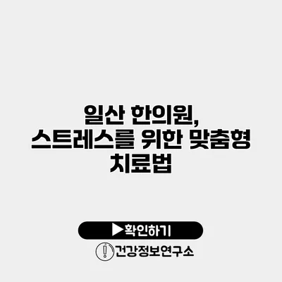 일산 한의원, 스트레스를 위한 맞춤형 치료법