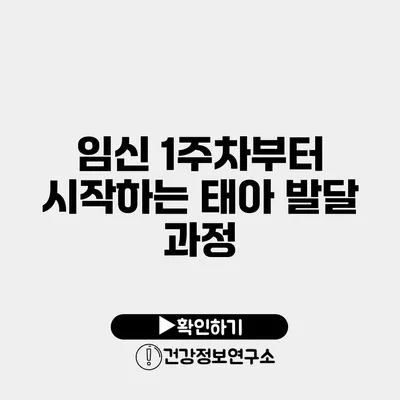 임신 1주차부터 시작하는 태아 발달 과정