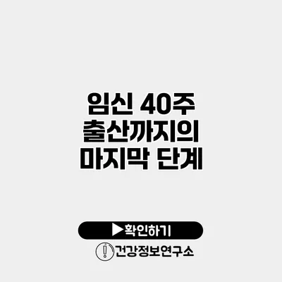 임신 40주 출산까지의 마지막 단계