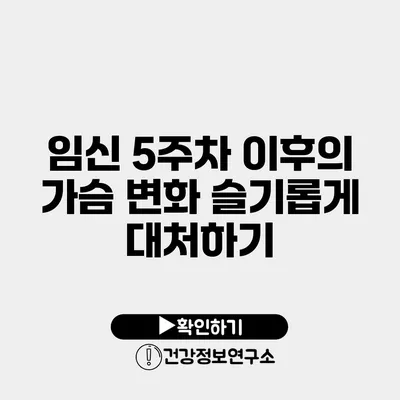 임신 5주차 이후의 가슴 변화 슬기롭게 대처하기