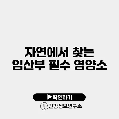 자연에서 찾는 임산부 필수 영양소