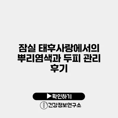 잠실 태후사랑에서의 뿌리염색과 두피 관리 후기