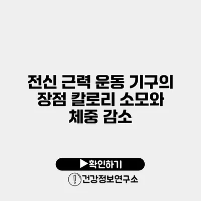 전신 근력 운동 기구의 장점 칼로리 소모와 체중 감소