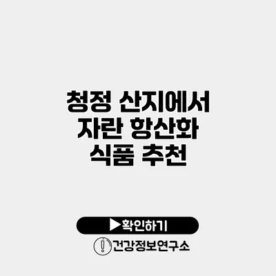 청정 산지에서 자란 항산화 식품 추천