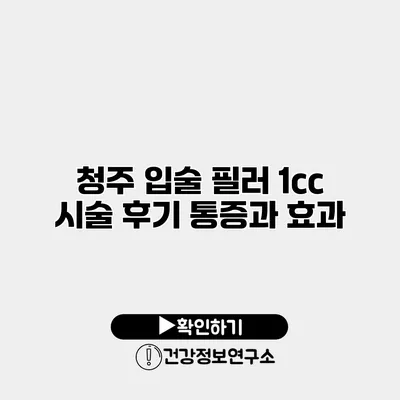 청주 입술 필러 1cc 시술 후기 통증과 효과