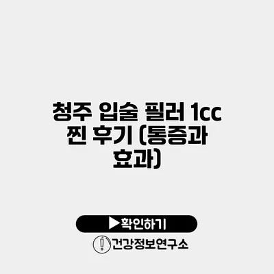 청주 입술 필러 1cc 찐 후기 (통증과 효과)