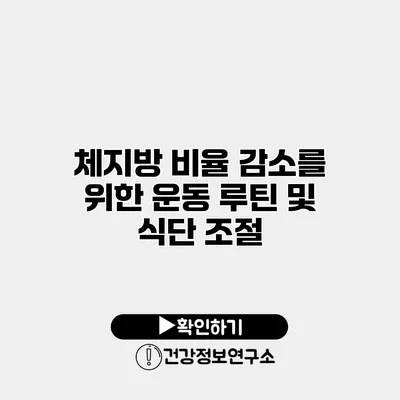체지방 비율 감소를 위한 운동 루틴 및 식단 조절