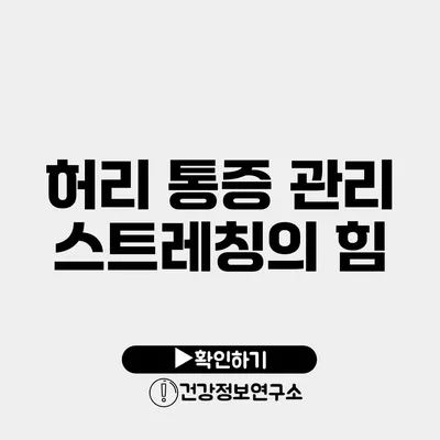 허리 통증 관리 스트레칭의 힘