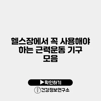 헬스장에서 꼭 사용해야 하는 근력운동 기구 모음