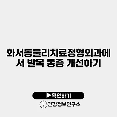 화서동물리치료정형외과에서 발목 통증 개선하기