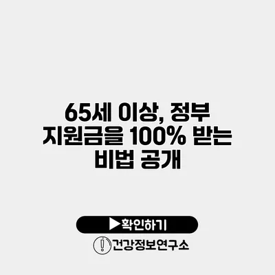 65세 이상, 정부 지원금을 100% 받는 비법 공개
