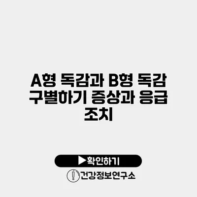 A형 독감과 B형 독감 구별하기 증상과 응급 조치